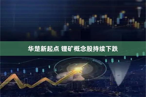 华楚新起点 锂矿概念股持续下跌