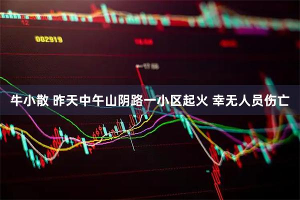 牛小散 昨天中午山阴路一小区起火 幸无人员伤亡