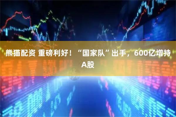 熊猫配资 重磅利好！“国家队”出手，600亿增持A股