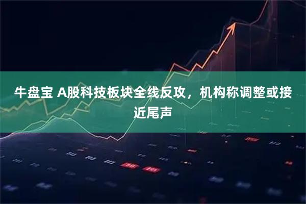 牛盘宝 A股科技板块全线反攻，机构称调整或接近尾声