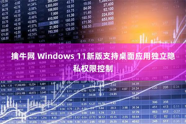 擒牛网 Windows 11新版支持桌面应用独立隐私权限控制